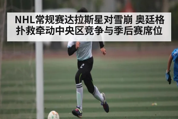 NHL常规赛达拉斯星对雪崩 奥廷格扑救牵动中央区竞争与季后赛席位